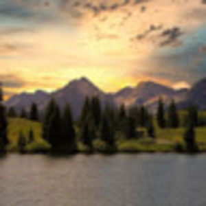 Meet your Posher, Naomi